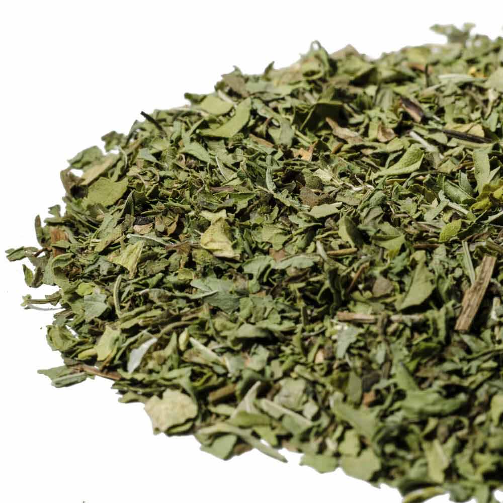 spearmint herbal tea infiusion
