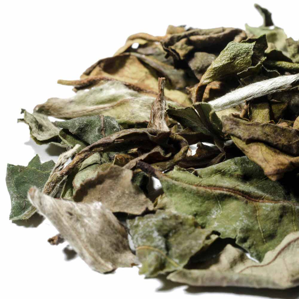 White Peony Loose Leaf White Chinese Tea